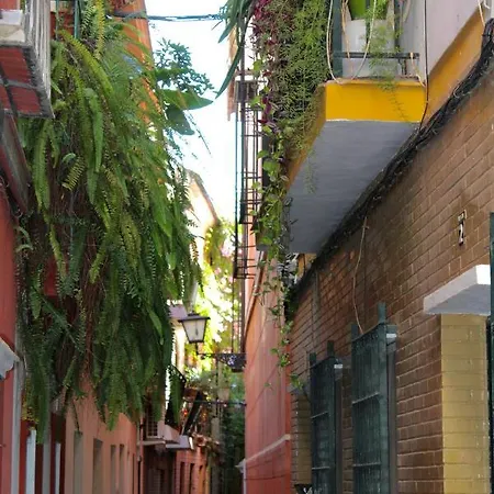 Street 아파트 *